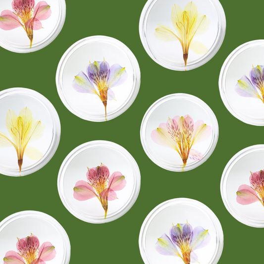 Real Floral Silica Coaster - Peruvian Lily - AfterRipples Lifestyle