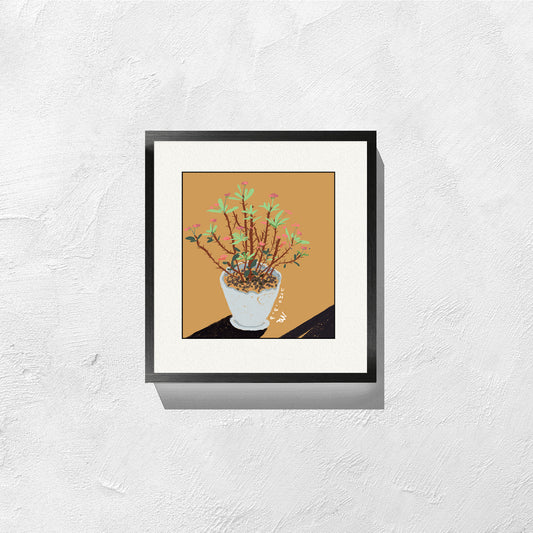 Euphorbia Milii - Artwork Prints - AfterRipples Lifestyle