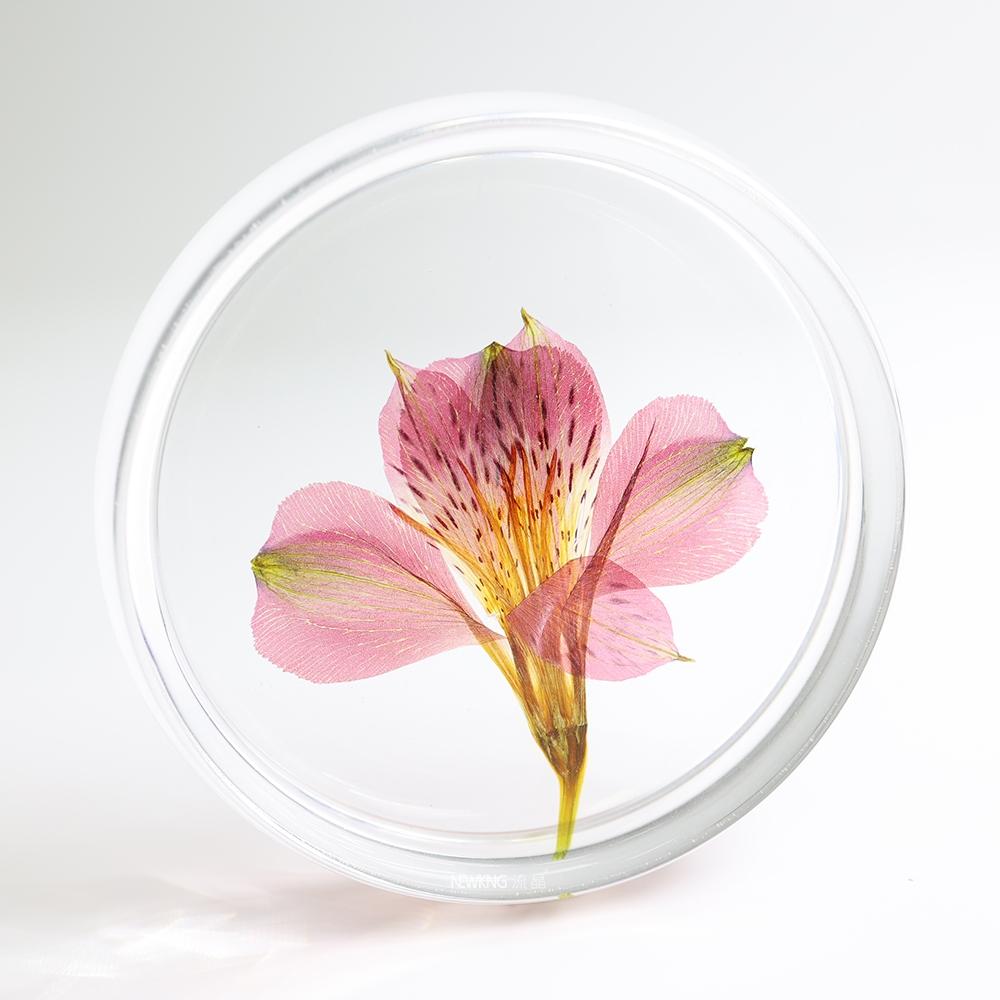 Real Floral Silica Coaster - Peruvian Lily - AfterRipples Lifestyle